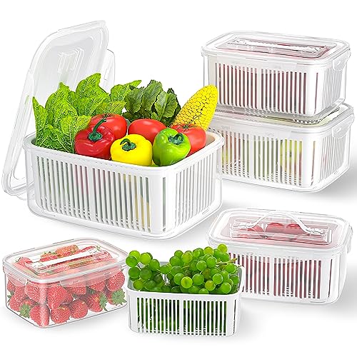 Top 10 Refrigerator Produce Storage Container of 2022 Katynel