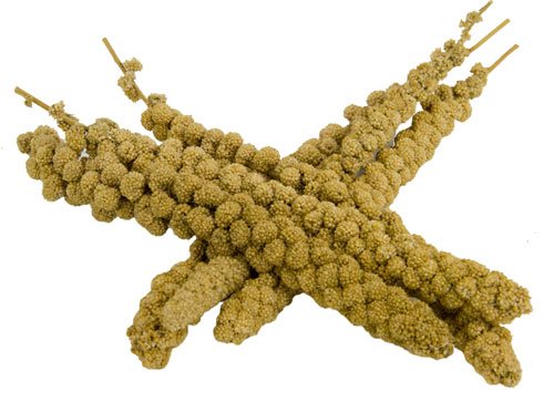 Kolbenhirse chinesisch, gelb 15,0 kg für Sittiche, Kanarien und Exoten Cover