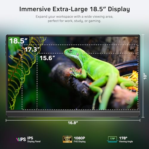 Image of Anyuse 18.5 inch 100Hz FHD IPS USB-C HDMI Portable Monitor