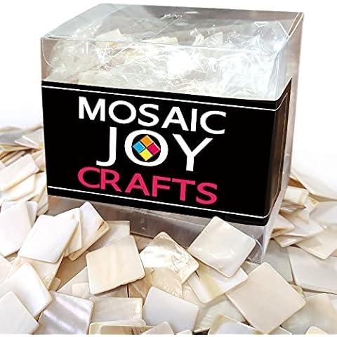 Mosaic Joy 355pcs Mosaic Tiles Mother of Pearl Bulk Mosaic Pieces for Home Decoration DIY Crafts Mosaic Supplies Square Shape 0.8x0.8 inch Cover
