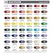 Liquitex BASICS Acrylic Paint Tube 12-Piece Set