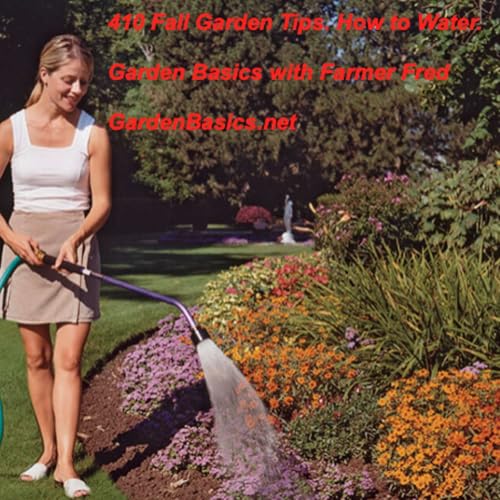 410 Fall Gardening Tips. How to Water. Podcast Por arte de portada