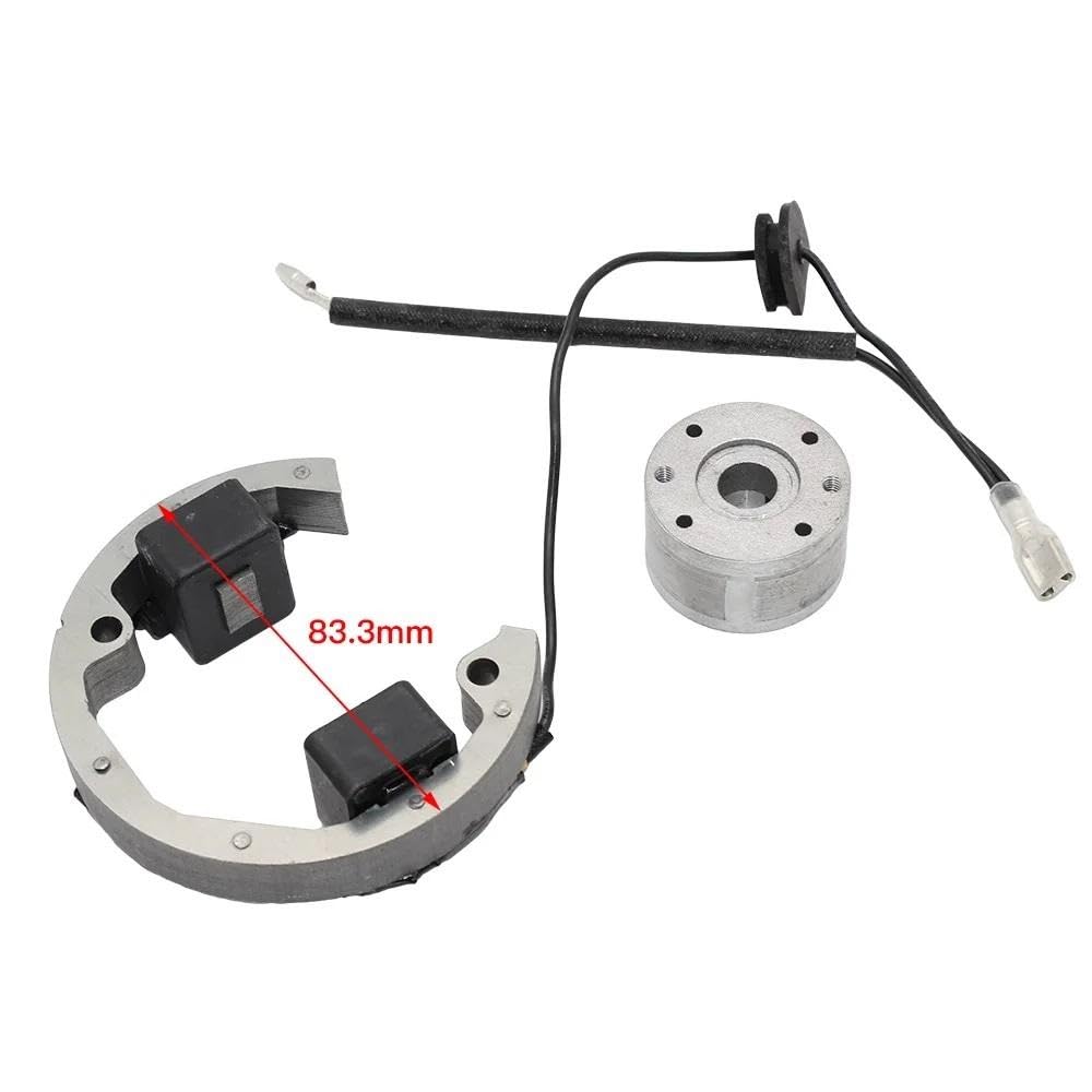 Magnete Accensione Rotore Interno Compatibile Con SX 50 Moped