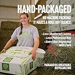 Small Pet Select 2nd Cutting Perfect Blend Timothy Hay Pet Food for Rabbits, Guinea Pigs, Chinchillas and Other Small Animals, Premium Natural Hay Grown in The US, 10 LB - Image 3