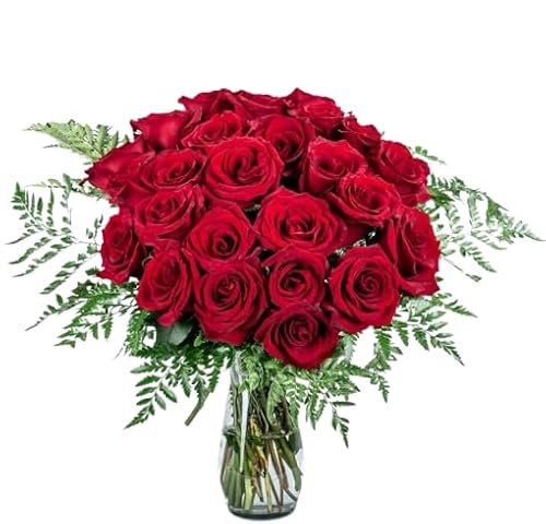 Ramo de Rosas Naturales Color Rojo con 25 Flores en Presentación Premium para Detalles Especiales Rosas Premium