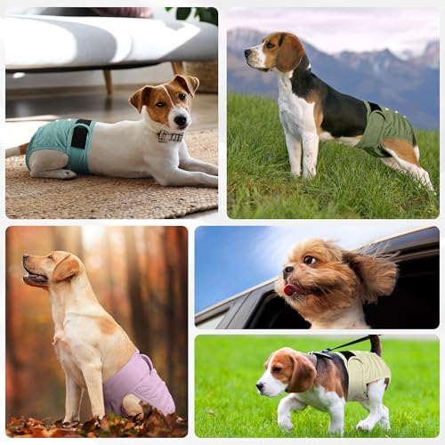 Image of Dog Diapers Female 5pcs,Reusable Dog Doggie Puppy Doggy Diapers Female, Period Panties in Heat, Small