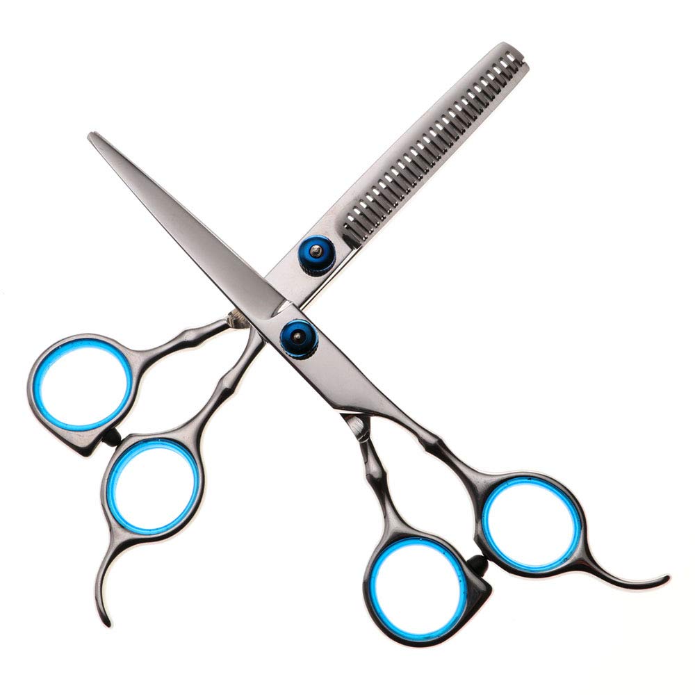 Professional Hair Cutting Scissors, VICMOVE 2 PCS Barber Thinning Scissors Hairdressing Shears Stainless Steel Hair Cutting Shears Set with Cape Clips Comb for Barber Salon and Home (Blue-CSG 01)