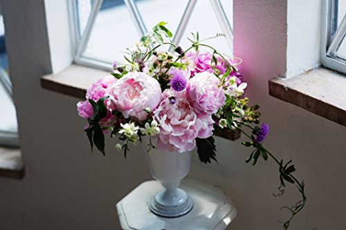 LEE 2018年1月号 商品画像