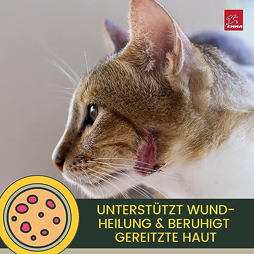 EMMA Zinksalbe Pferd I Wund Salbe bei Wunder Haut mit Zinkoxid I Wund Und Heilsalbe für Hund Katze Pferde 2x250ml Wundsalbe | Wundheil Zink Creme zur Unterstützung der Heilung von Wunden Juckreiz