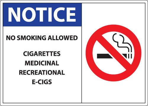 Zing Green Products 1842D Recycled Polystyrene "Notice No Smoking Allowed" Window Decal, Face-Adhesive, 7" Length, 5" Width, Pack of 2