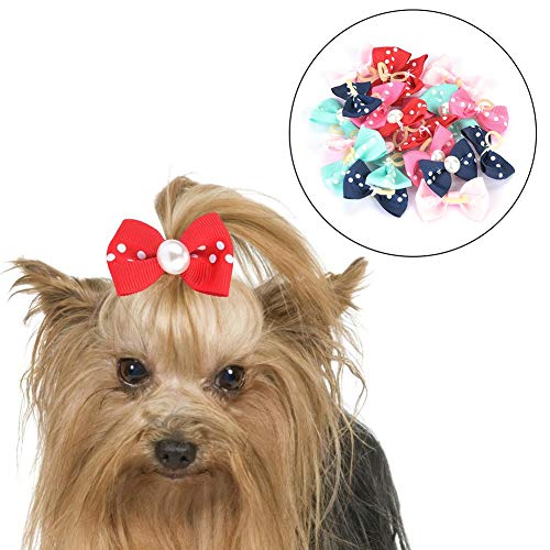 Juguetes Para Perro, Toy Imagen adicional