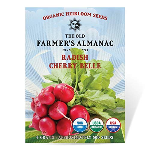 The Old Farmers Almanac Organic Radish Seeds (Cherry Belle) - Approx 400 Seeds - Certified Organic Non-GMO Open Pollinated Heirloom USA Origin