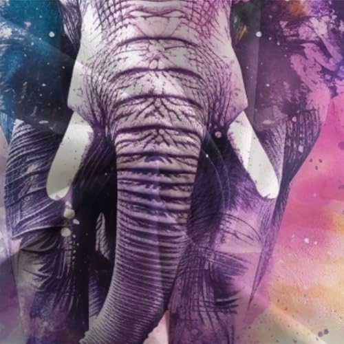 Parure de lit 135x200 avec housse de couette éléphant 3D