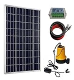 ECO-WORTHY 100W Solar Water Pump Kit - 100W Solar Panel + 12V Water Pump + 20A LCD Display PWM Controller + Pair of Cable for Remote Watering, Irrigation, Little Pool - DELIVERY IN 2 PARCELS