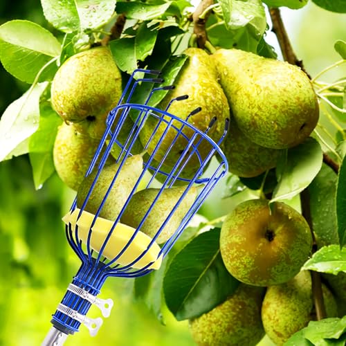 Herramienta telescópica para recolectar frutas RAIN SPIRIT 6FT miniatura 6
