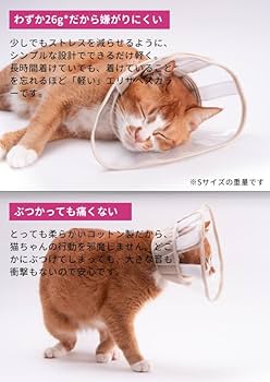 Amazon | ぽぽねこ 軽くて柔らかい猫用エリザベスカラー 視界良好