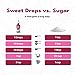 SweetLeaf Sweet Drops - Flavored Stevia Liquid Sweetener, Organic Stevia Extract, Zero Calories, Gluten Free, Keto Friendly, Non GMO, Natural Flavors - Chocolate Raspberry, 2 Fl Oz (Pack of 2)