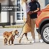 Comfortable Dog Seat Belt Harness for Car
