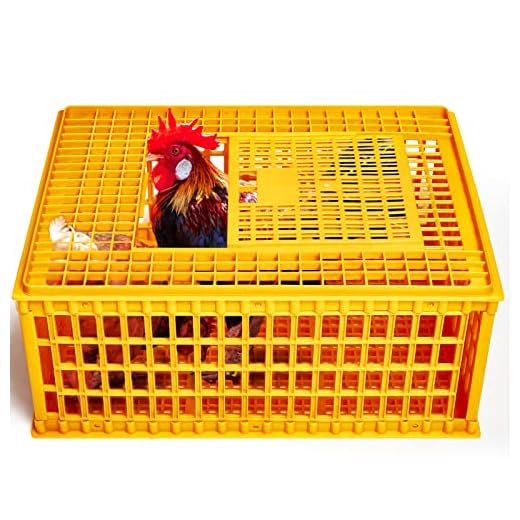 Can you pack a starling in checked luggage Heavy Duty Poultry Transport Crate