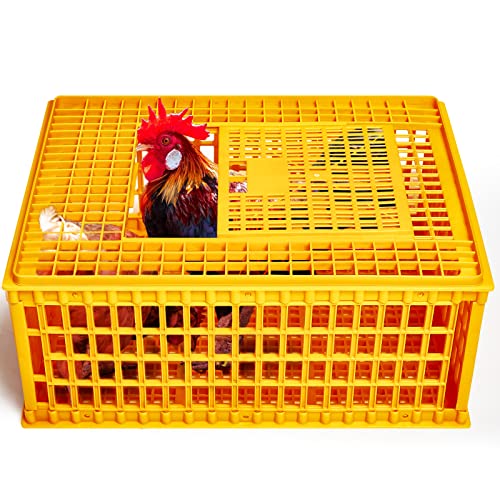 Cage de transport pour volailles en plastique robuste pour poules et poules - Pour oiseaux, canards, oies, 13 poules adultes, 75 x 55 x 33 cm
