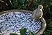 Esschert Design USA Ceramic Birdbath-Blue/White