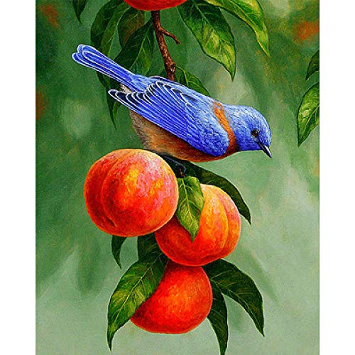 Diamant complet 5D oiseau bleu | Kit mosaïque strass résine haute brillance