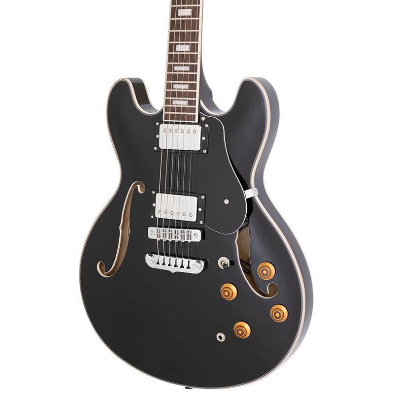 Amazon | AriaProII TA-200 BK セミアコースティック タイプ エレキ