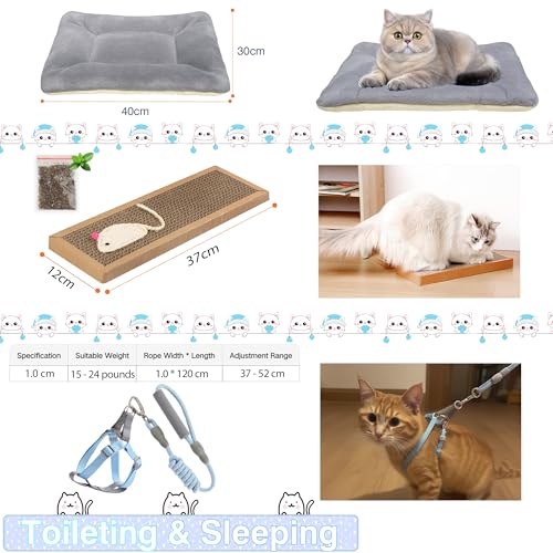 AURIXUS 39-teiliges Kitten-Starter-Set, ideal für Katzen unter 6 Monaten, Katzenbedarf, mit 23-teiligem Spielzeug-Set, Bett, Tragetasche, Einwegtoilette, Schalen und mehr, perfekt für neue