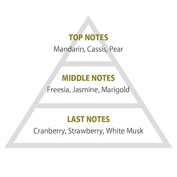 Amazon | primaniacs（プリマニアックス） 東方Project