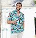 HAPPY BAY Men's Hawaiian Shirt Boho Vacation 3X-Large Palm Flamingos Blue