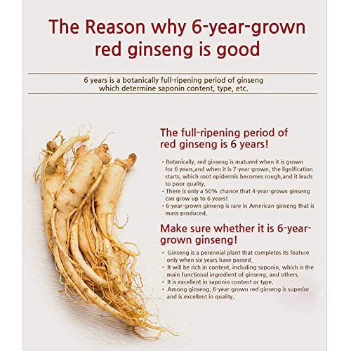 Tulgigs Korea 6 Year Finest Work Red Ginseng Extract Tea 500G, Liquid Extract Type #TOP1