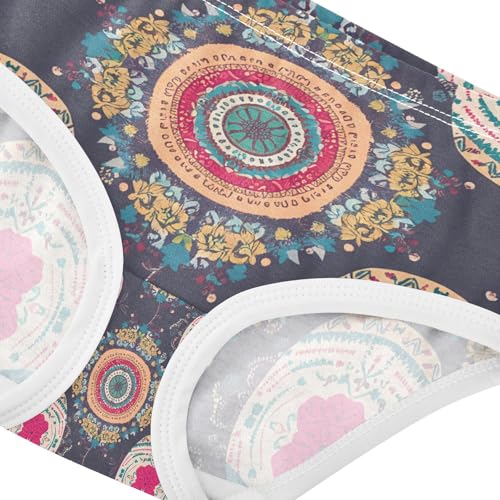 Russia Matryoshka Dolls Toddler Girls's Underwear 2T 202c12074