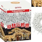 GINMA