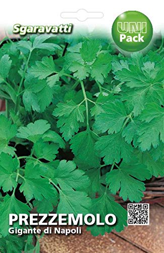 Sgaravatti Busta Semi Orto Prezzemolo Gigante Di Napoli
