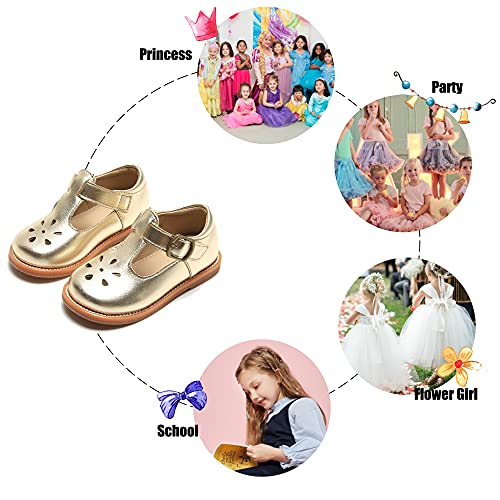 Image of Felix & Flora Toddler Little Girl Mary Jane Dress Shoes - Ballet Flats for Girl Party School Shoes