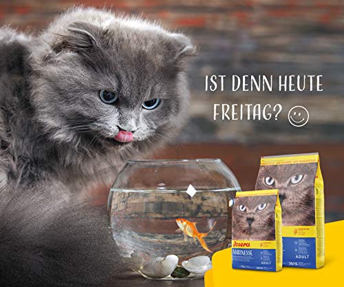 JOSERA Marinesse (1 x 400 g) | Adult | Premium Trockenfutter für ausgewachsene allergische Katzen | Lachs, Kartoffel & Erbse als ausgesuchte Proteinquellen | getreidefrei | Katzenfutter | 1er Pack