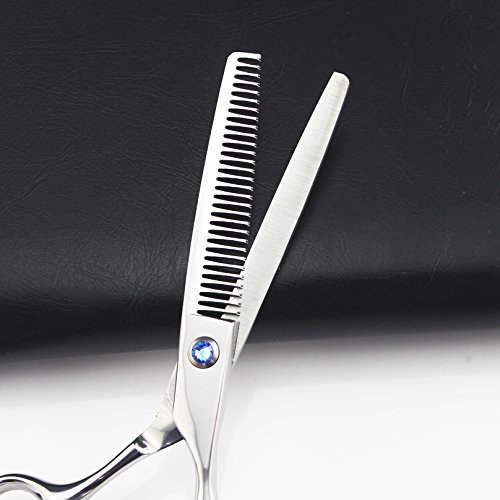 JIESENYU Ciseaux à effiler professionnels pour coiffeur ou utilisation domestique 15,2 cm