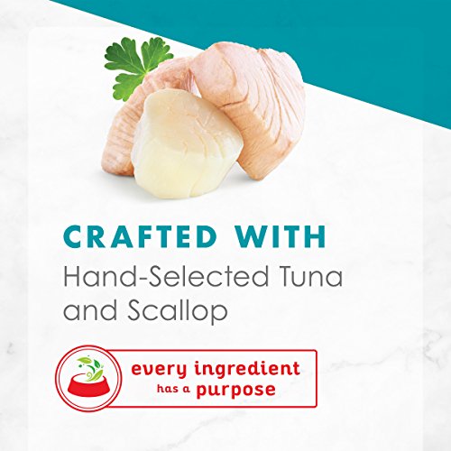 Purina Fancy Feast Wet Cat Food Complement, Appetizers Light Meat Tuna With A Scallop Topper - (10) 1.1 Oz. Trays #TOP4