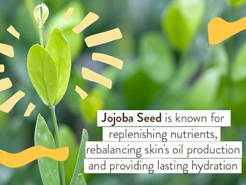 Babo Botanicals Swim & Sport Mineral Sunscreen Spray Spf 30 With Natural Zinc Oxide - For Face & Body Of All Ages - Dermatologist Tested & Cruelty-Free - Fragrance-Free & Water Resistant - 2 Oz #TOP6