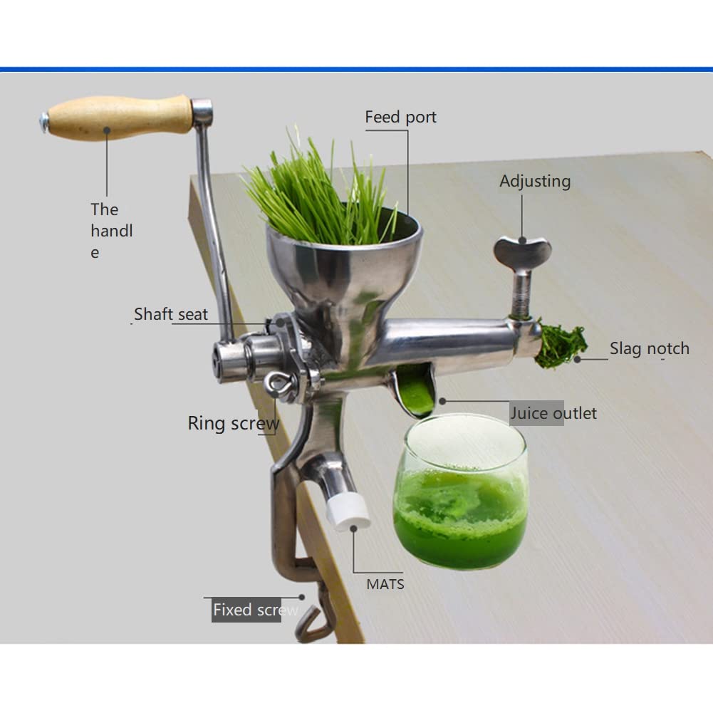 Exprimidor Manual de Hierba de Trigo Manual de Acero Inoxidable Extractor de Prensa de Naranja Vegetal y Hierba de Trigo