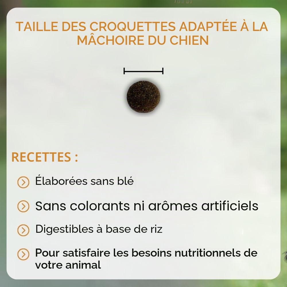 NUTRIVET - Super Premium - Adulte Medium - Croquettes sans Blé - Chien - Riche en Protéines Animales - 15 kg