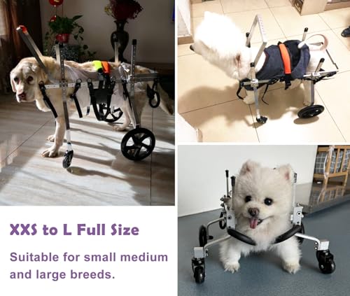 Fauteuil roulant pour chien à 4 roues | Chariot de rééducation active - 3