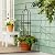 Evergreen 5 ft Garden Trellis for Climbing Plants Vines, Jasmine & Flowers, Rustproof Metal Obelisk Trellises, Outdoor & Indoor Plant Support for Potted Planters (Bronze)