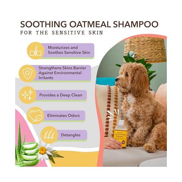 Natural Dog Company Sensitive Skin Shampoo – Bild 4