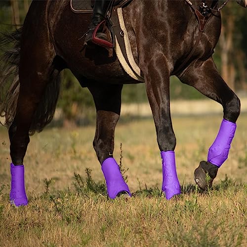 Image of Harrison Howard Splint Boots for Horses 4 Pack, Front & Hind Horse Sport Boots with Neoprene Leg Protection