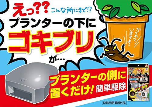 ブラックキャップの置き場所 完全版ガイド 26か所を解説