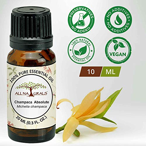 Image of All Naturals Champa Absolute Essential Oil (Kerala) 100% Pure, Deep Floral Exotic Aroma for Natural Perfumes, Massage Oils, Attars, DIY Skincare & Diffusers - 10 mL | n-Hexane Extracted, Alcohol-free