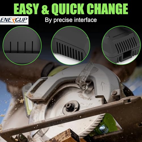 Energup 24V CAF806 Charger for Greenworks 24V Battery, Compatible with 24Volt Li-ion BAG708 BAG709 BAG710 for greenworks Battery Charger 24Volt