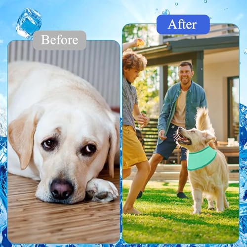 KASESSS Hunde Halstücher Kühlend, Hundehalstuch, Kühltuch Hund Halstuch Kühlend, Hundes Bandana im Sommer, Atmungsaktiv Kühlhalsband für Hundes zum Ausruhen, Schlafen, Sommerspaziergang und Spielen