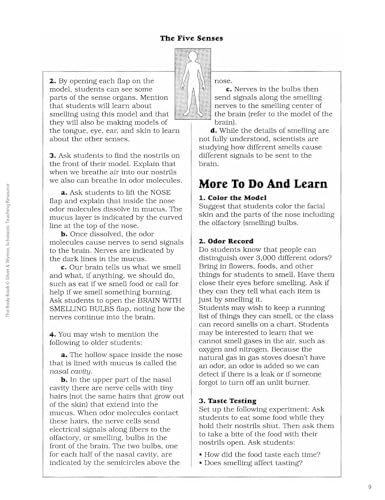 The The Body Book: Easy-to-Make Hands-on Models That Teach - Image 6